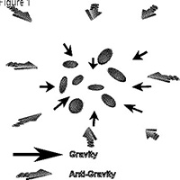 The Antigravity Effect Image source: Academic